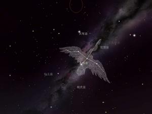 天鵝座NML 天鵝座NML