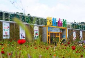 彩虹小鎮 彩虹小鎮