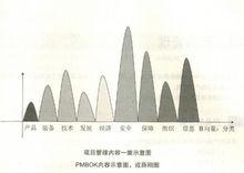 項目管理知識體系（大綱）