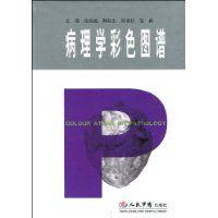 病理學彩色圖譜 病理學彩色圖譜