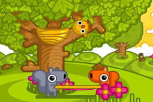 可愛接小鳥 可愛接小鳥