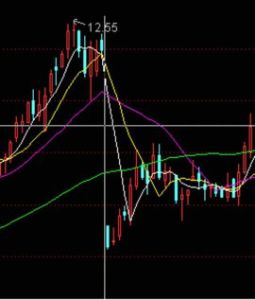 股票登記日 股票登記日