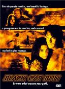 《怒走黑豹》 《怒走黑豹》