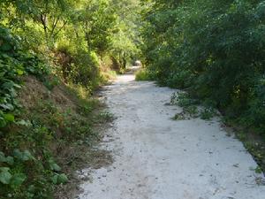 （圖）村內道路