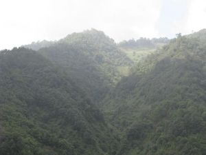 大地基村 大地基村