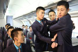 民航空中安全保衛 民航空中安全保衛