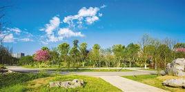 陽山公園 陽山公園