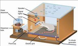 操作性條件反射