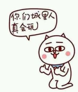 你們城裡人真會玩 你們城裡人真會玩