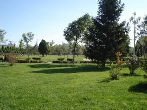 馬家涯村 馬家涯村