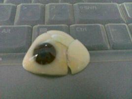 高分子義眼 高分子義眼