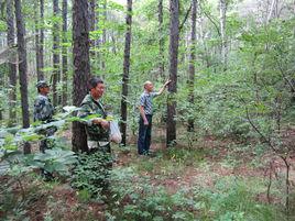 青山林場 青山林場
