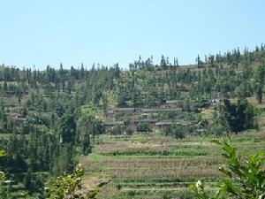 嚴家自然村 嚴家自然村