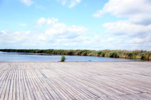 龍騰生態溫泉度假莊園景區