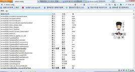 about:config about:config