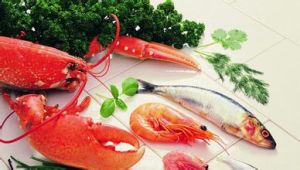 嘌呤食物 嘌呤食物