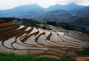 尤溪梯田