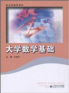 大學數學基礎 大學數學基礎