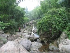 杭州湯坑景區 杭州湯坑景區