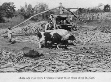 海地人民 海地人民