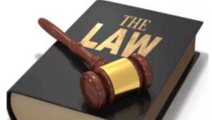 組織處理 組織處理