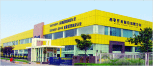 開米股份有限公司 開米股份有限公司