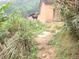 的沙壩村 的沙壩村