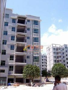 天龍花園 天龍花園