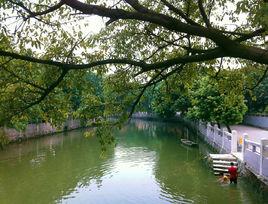 大羅沙村 大羅沙村