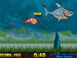 魚魚快游 魚魚快游