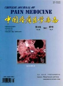 中國疼痛醫學雜誌 中國疼痛醫學雜誌