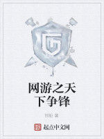 網遊之天下爭鋒 網遊之天下爭鋒