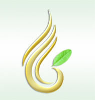 廣東佛手網 廣東佛手網