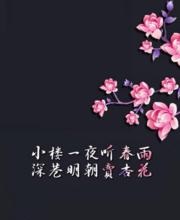 小樓一夜聽春雨[古龍作品《圓月彎刀》詩句]
