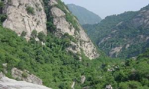 長安區[西安市]