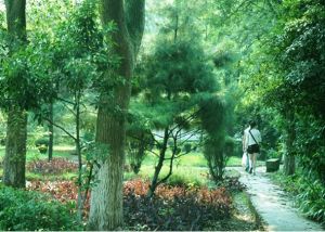 重慶大學城市科技學院 -校園風光