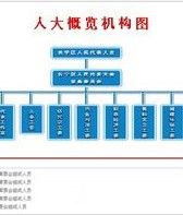 數字人大 數字人大