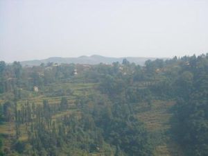 大咪勒村 大咪勒村