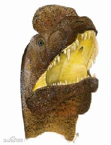 三疊中國龍 三疊中國龍