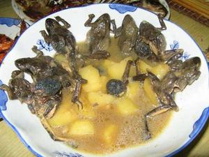 蛤蟆燉土豆 蛤蟆燉土豆