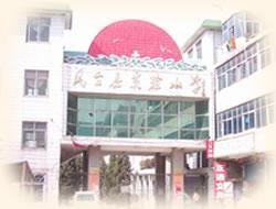 鳳台實驗國小 鳳台實驗國小