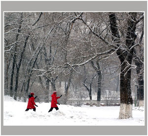 冬練三九 冬練三九