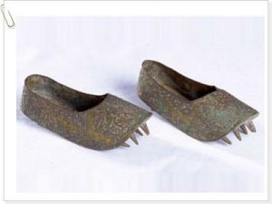 金鳳銀鞋 金鳳銀鞋