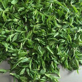 高茶[一種茶葉]