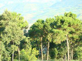 火皮地自然村 火皮地自然村