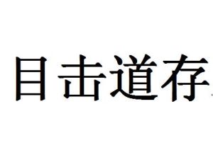 目擊道存