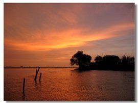湯遜湖風景區 湯遜湖風景區