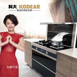 科大集成灶 科大集成灶