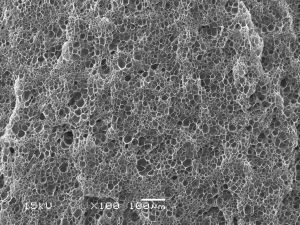 微孔發泡聚丙烯 微孔發泡聚丙烯