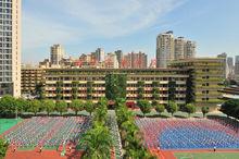 錦華實驗學校校園全景